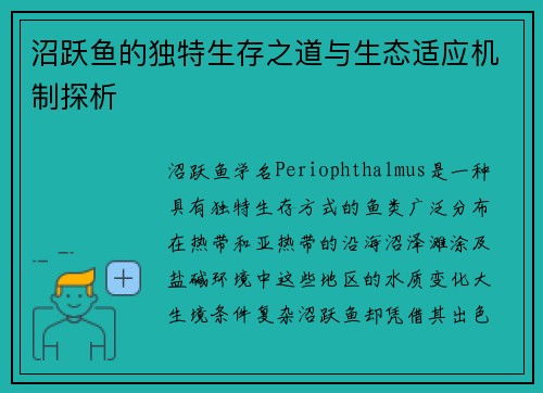 沼跃鱼的独特生存之道与生态适应机制探析